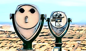 Consumer Insights