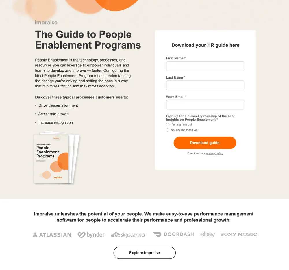 landing page - example