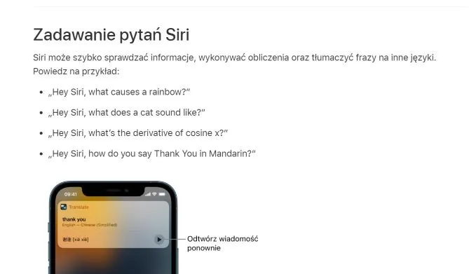 voice assistant example - siri
