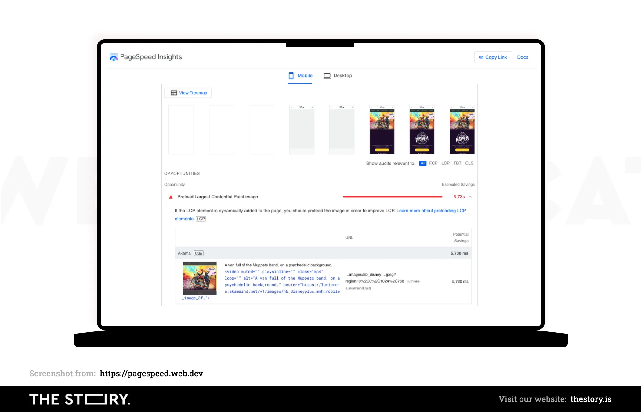 An image with analysis done in PageSpeed Insights