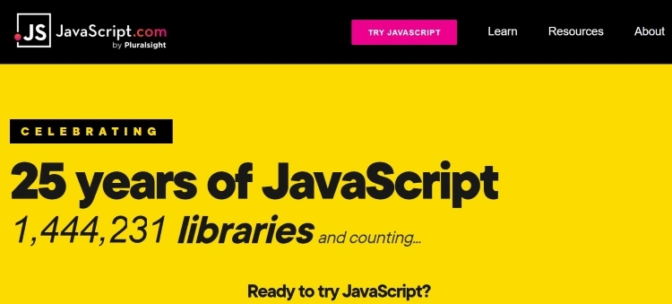 JavaScript website