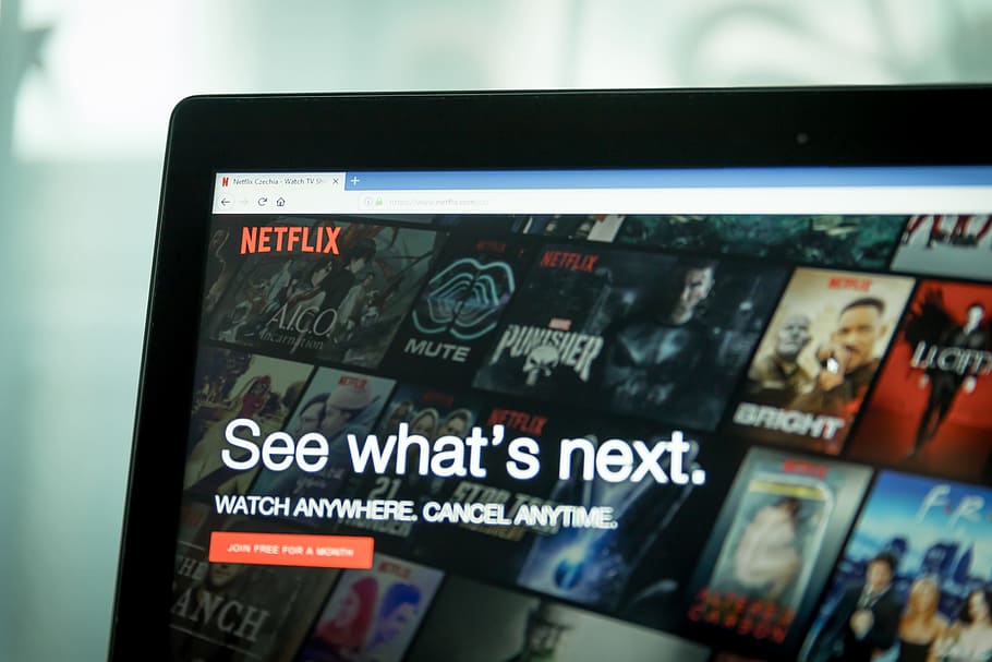 Netflix - platforma w modelu subskrypcyjnym znana na całym świecie