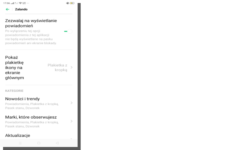 interfejs ecommerce - zalando