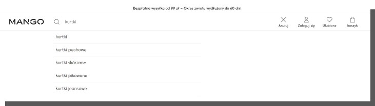 wyszukiwarka w sklepie internetowym - sugestie