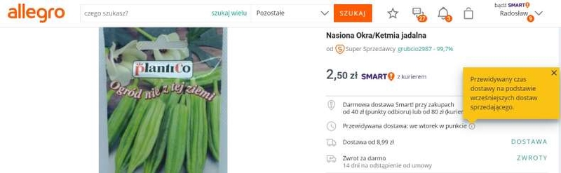zamówienie w sklepie internetowym - dostawa