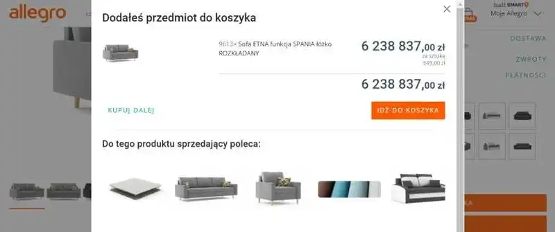 błędy w formularzach ecommerce