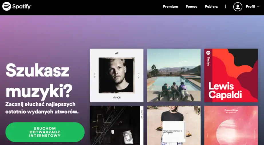 heurystyki nielsena a spotify