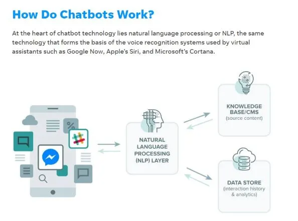 how the chatbot works
