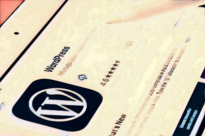 wordpress vs django