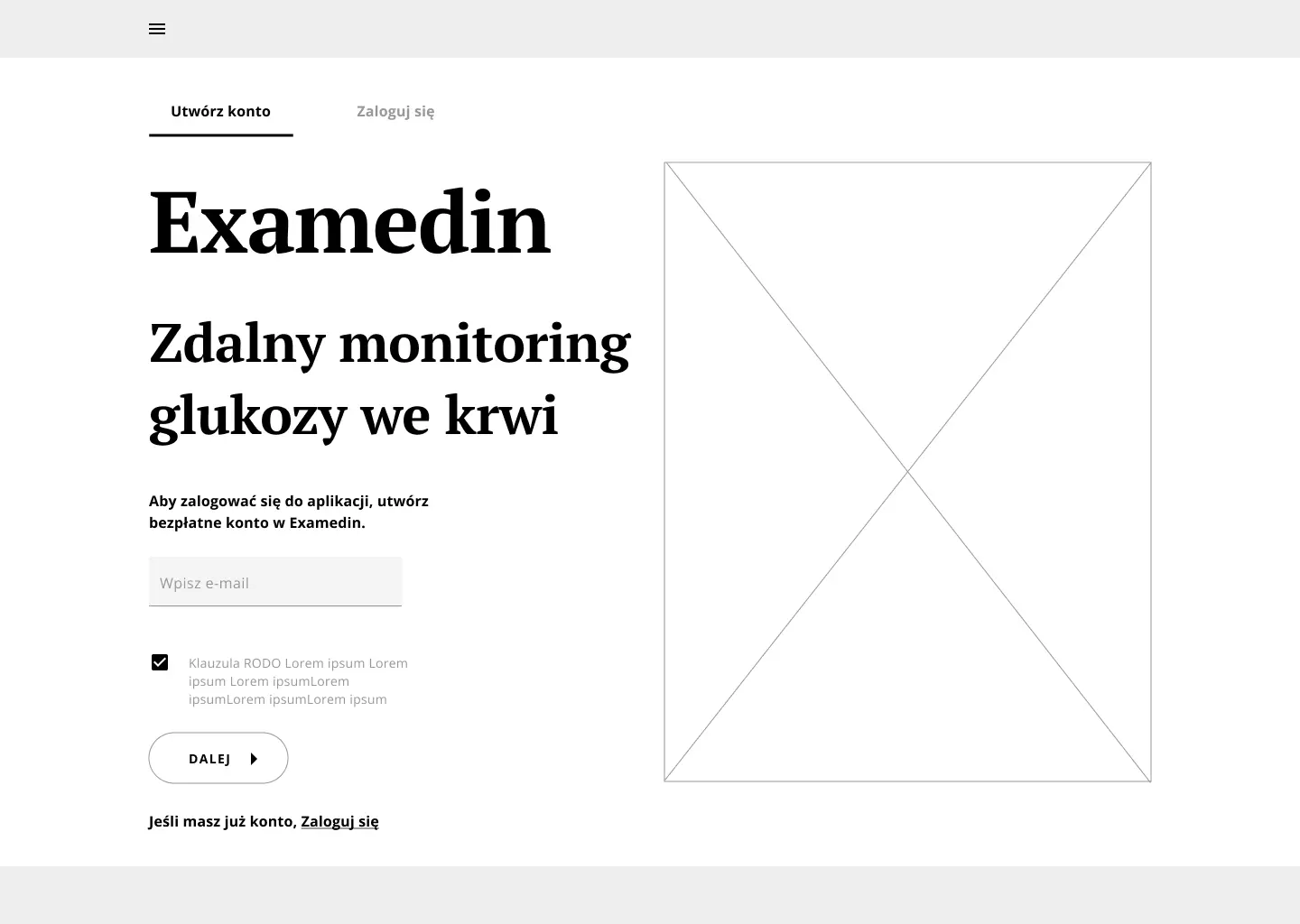 Wireframe przed